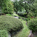 71-foto-zahrady62.jpg
