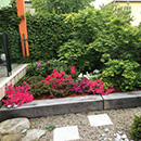 77-foto-zahrady72.jpg
