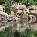 11-foto-jezirka.jpg